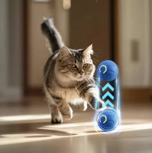 Pelota Inteligente Perros Gato Juguete - CompraClickYa.cl