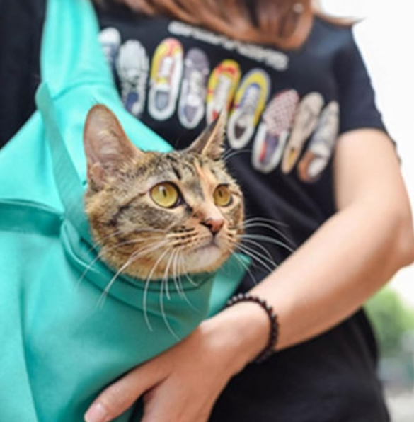 BOLSA DE TRANSPORTE PORTABLE PARA GATOS - CompraClickYa.cl