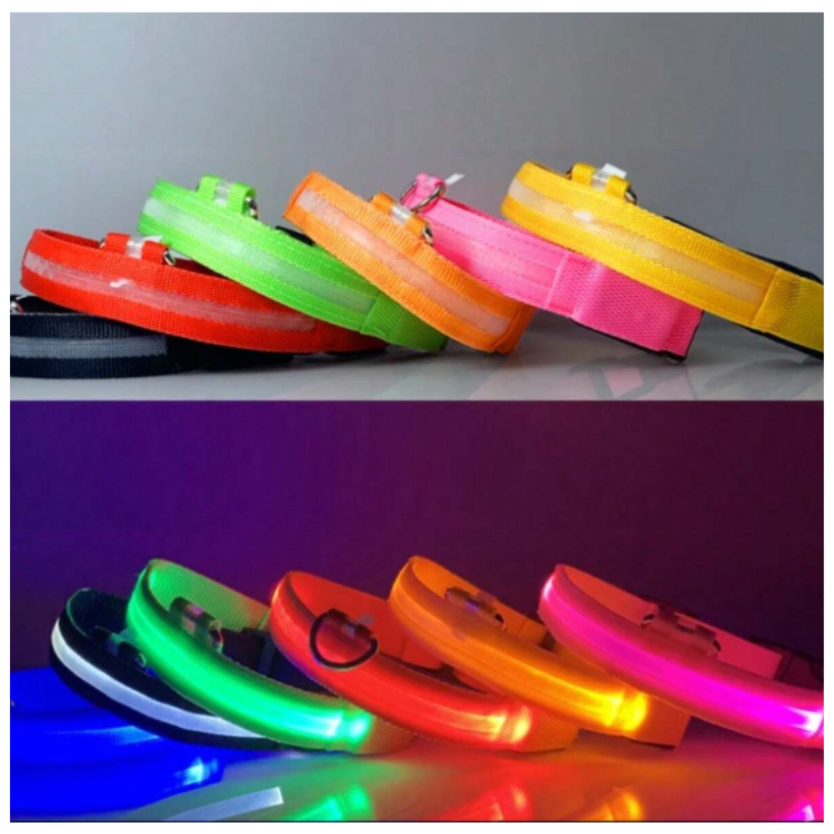 Collar Luminoso LED Recargable - CompraClickYa.cl